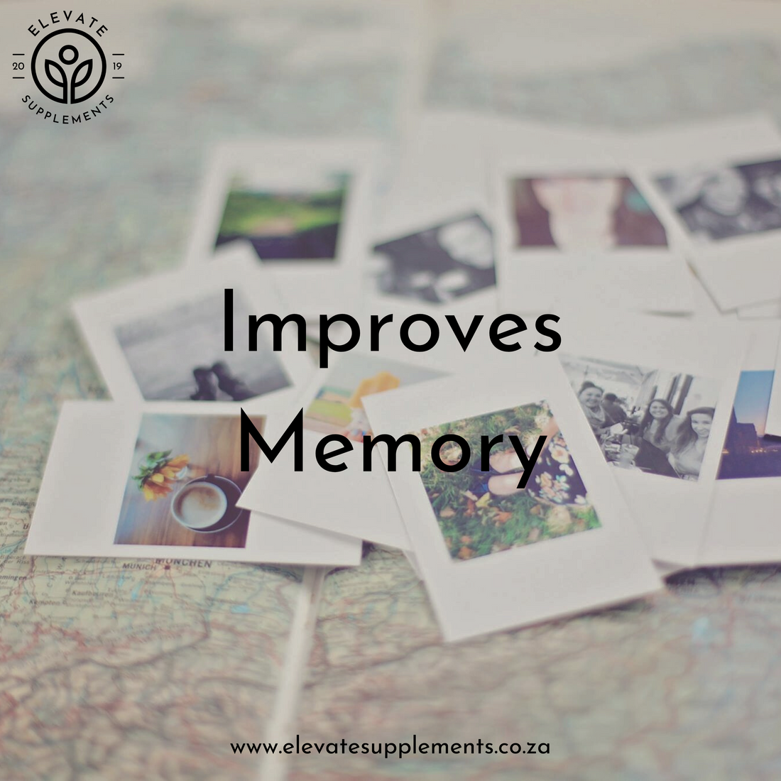 Memory Loss: How to Support Brain Health Naturally