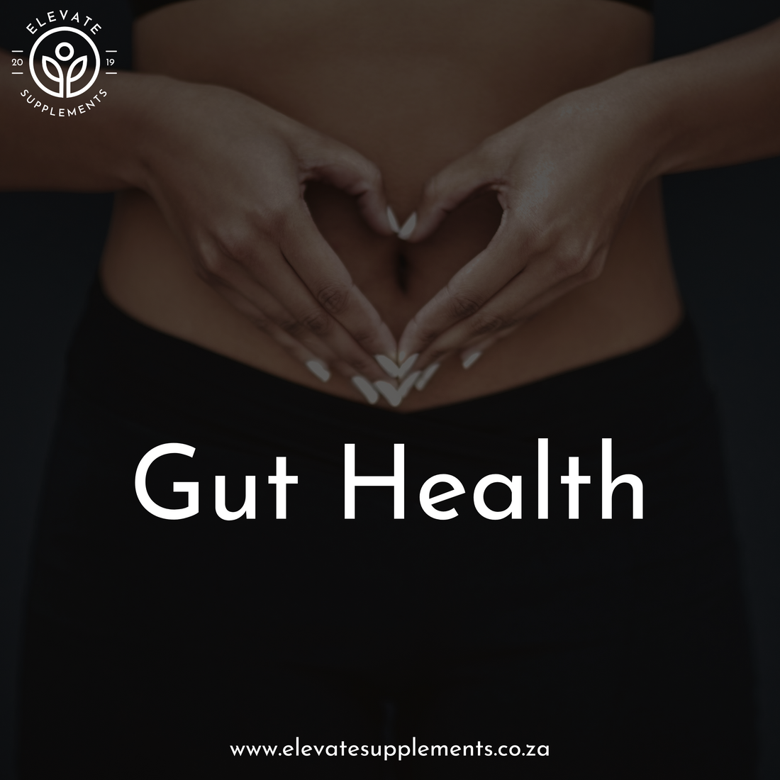 Unlocking Gut Health: How a Balanced Digestive System Can Support Overall Well-being